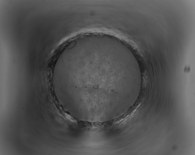 X0000102521494200808081415