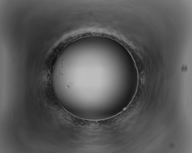 X0000102521495200808081415