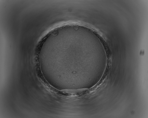 X0000102521496200808081415