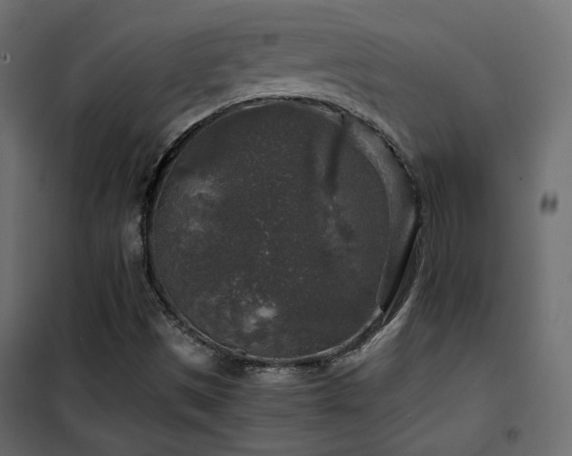 X0000102521497200808081415