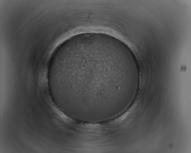 X0000102521498200808081415