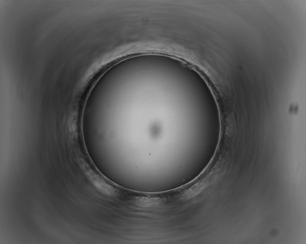 X0000102521499200808081415