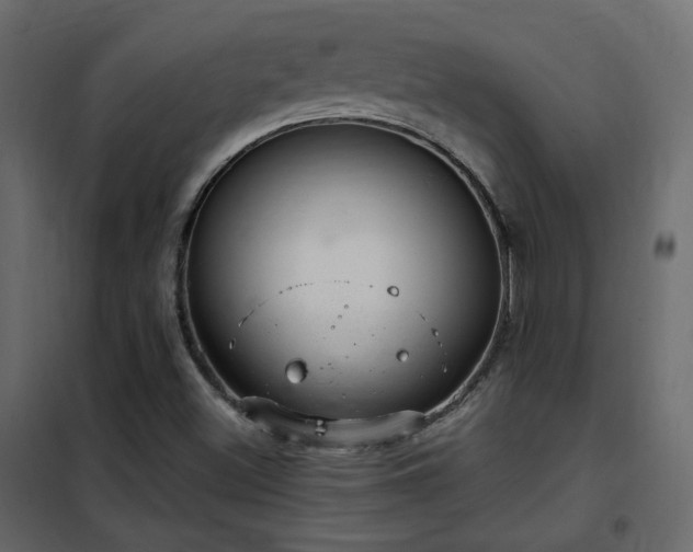 X0000102521500200808081415