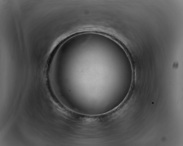 X0000102521501200808081415