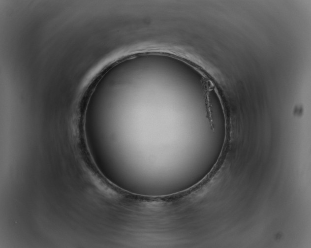 X0000102521502200808081415