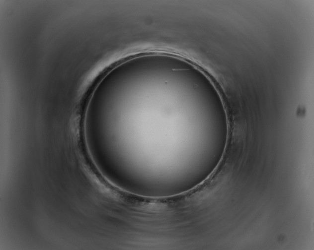 X0000102521503200808081415