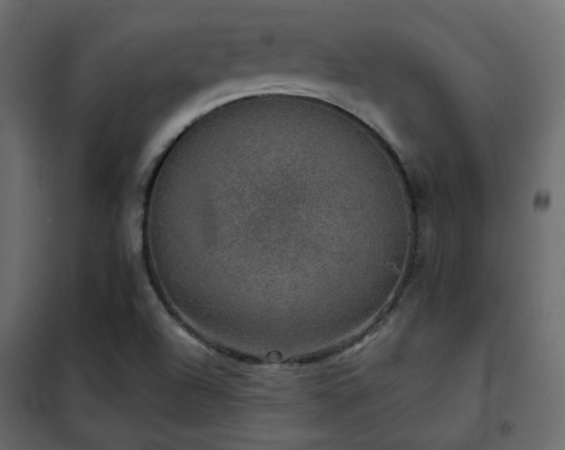 X0000102521504200808081415