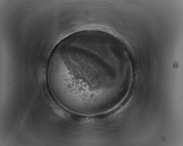 X0000102521505200808081415