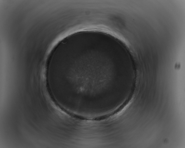 X0000102521506200808081415