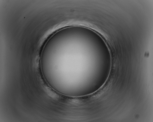 X0000102521507200808081415