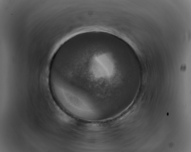 X0000102521508200808081415