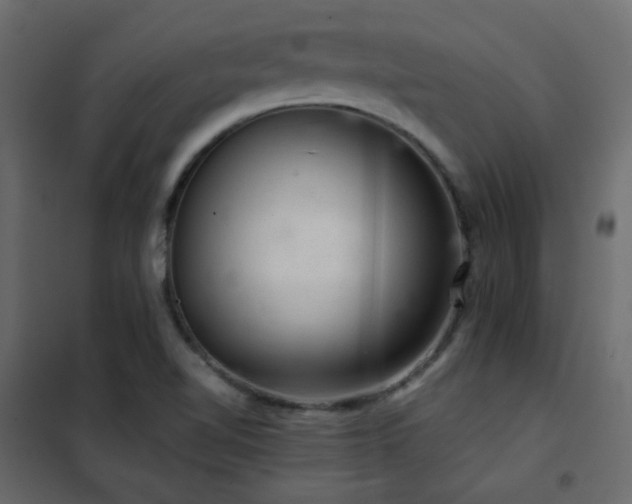 X0000102521510200808081415