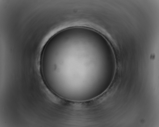 X0000102521512200808081415