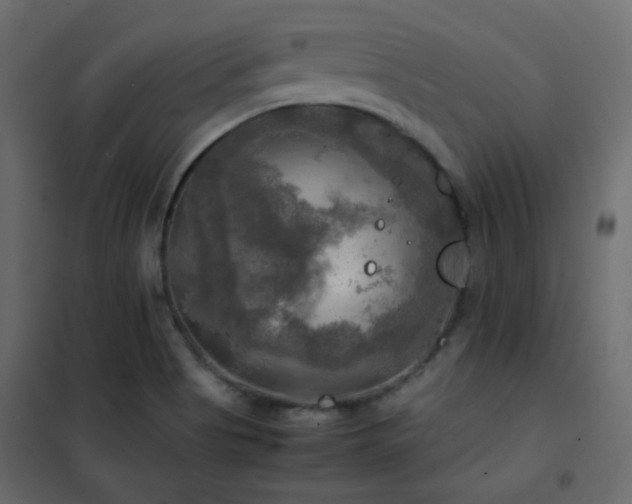 X0000102521513200808081415