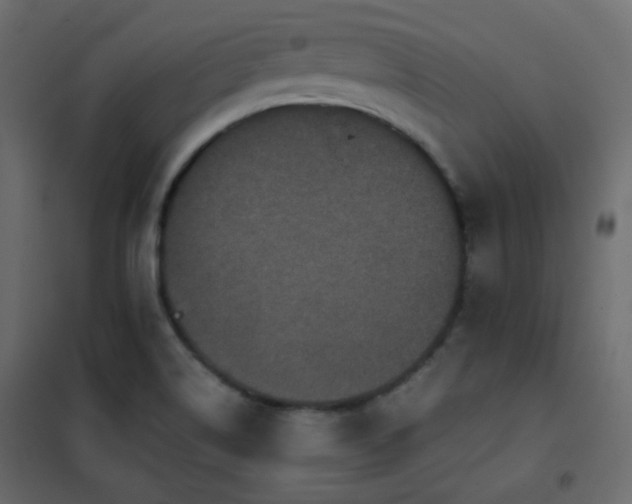 X0000102521514200808081415