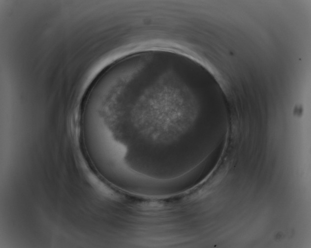 X0000102521515200808081415