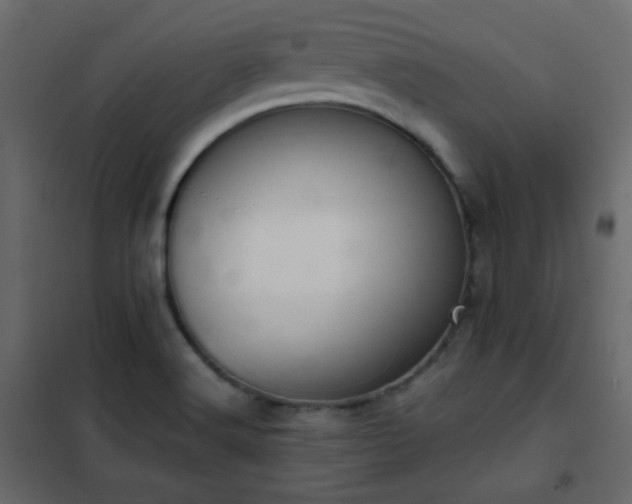 X0000102521516200808081415