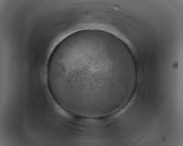 X0000102521517200808081415