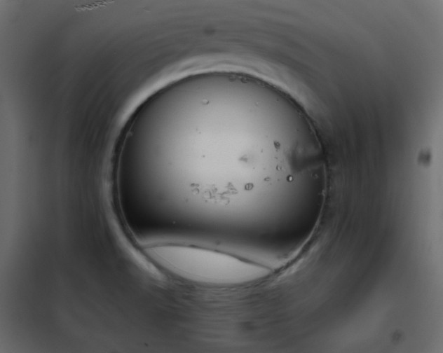 X0000102521518200808081415