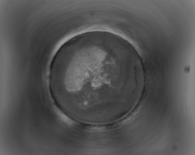 X0000102521519200808081415