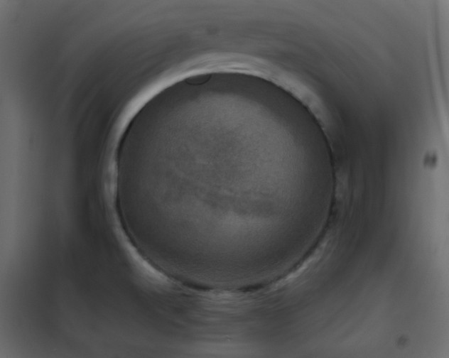 X0000102521520200808081415