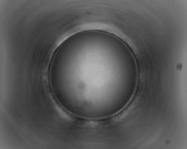 X0000102521521200808081415