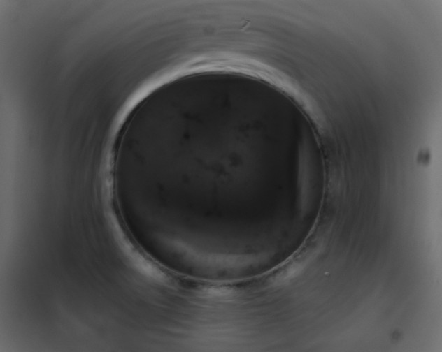 X0000102521522200808081415