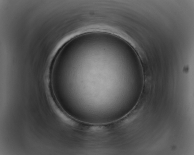 X0000102521523200808081415