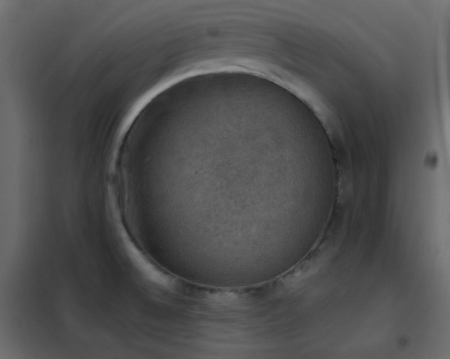 X0000102521524200808081415