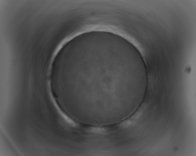 X0000102521525200808081415