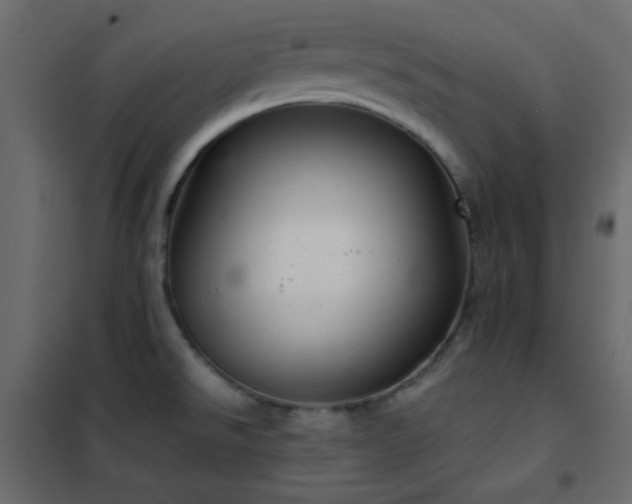 X0000102521526200808081415