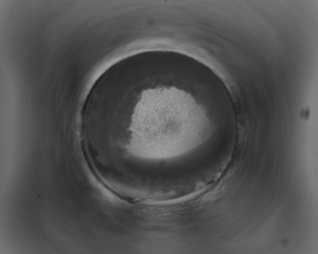 X0000102521527200808081415