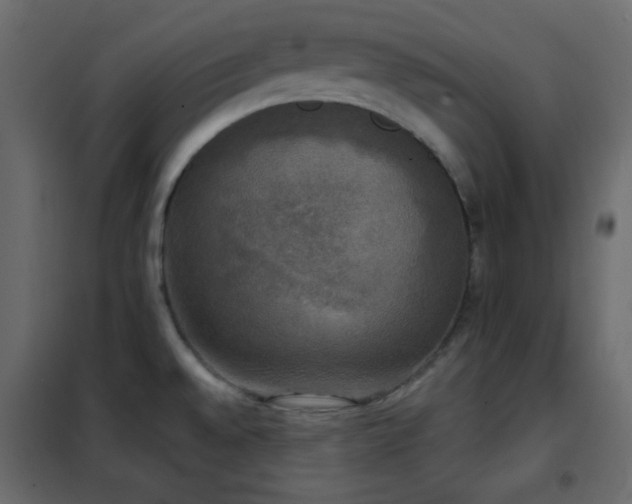 X0000102521528200808081415