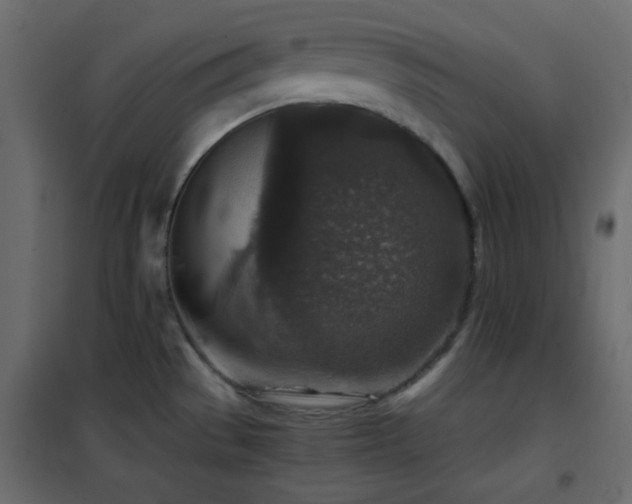 X0000102521529200808081415