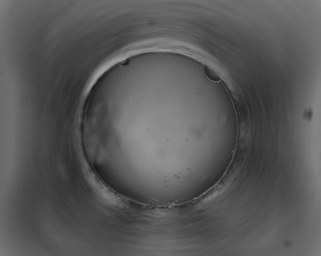 X0000102521530200808081415