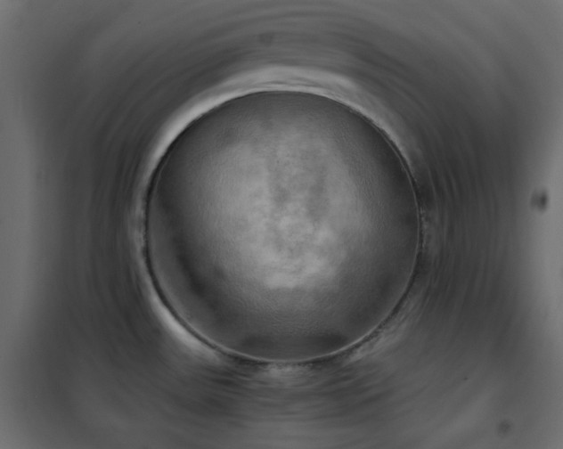 X0000102521531200808081415