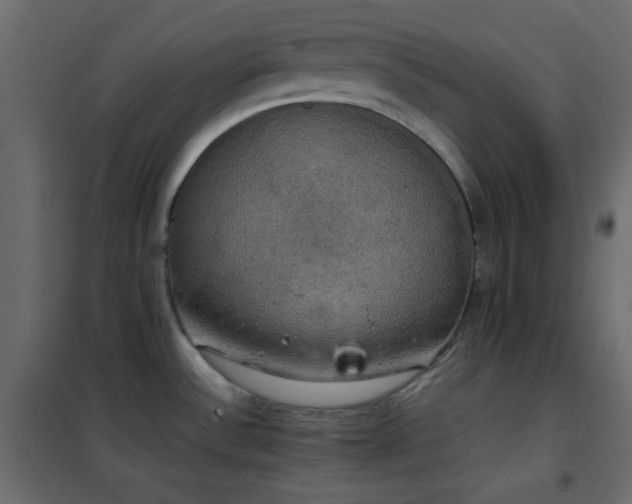 X0000102521532200808081415