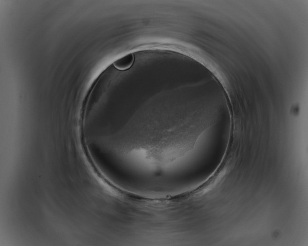 X0000102521533200808081415