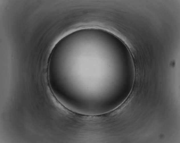 X0000102521534200808081415