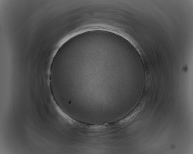 X0000102521535200808081415