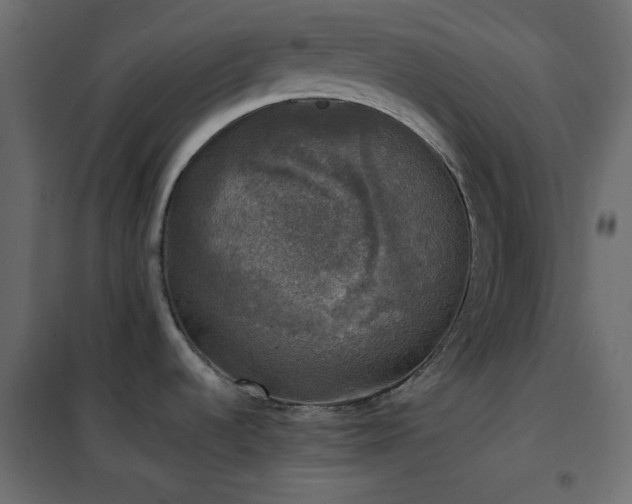 X0000102521536200808081415