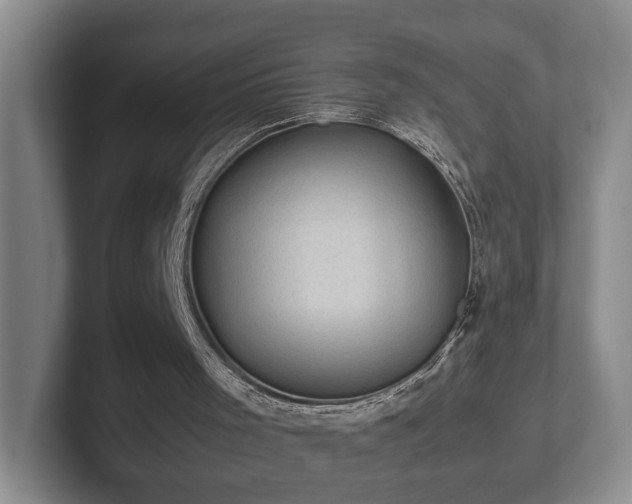 X0000102520001200808151543