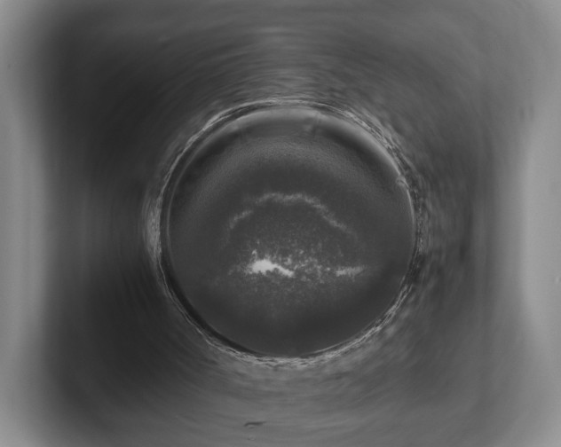 X0000102520002200808151543