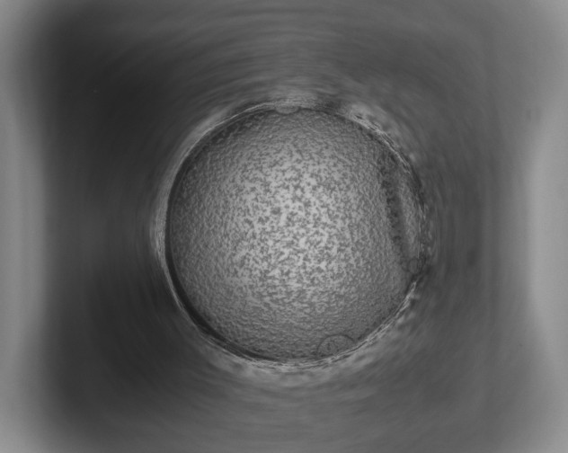 X0000102520003200808151543