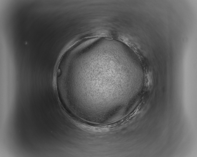 X0000102520004200808151543