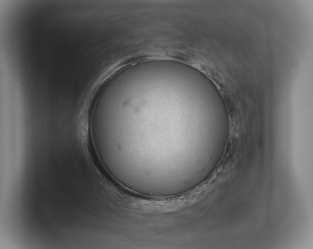 X0000102520005200808151543