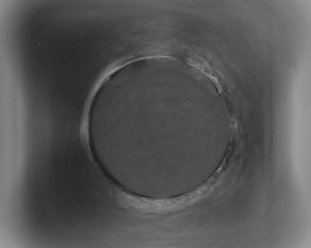 X0000102520006200808151543