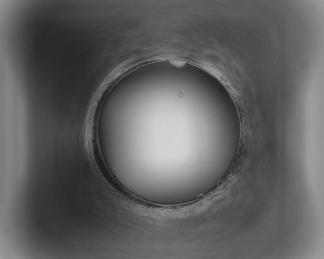 X0000102520007200808151543