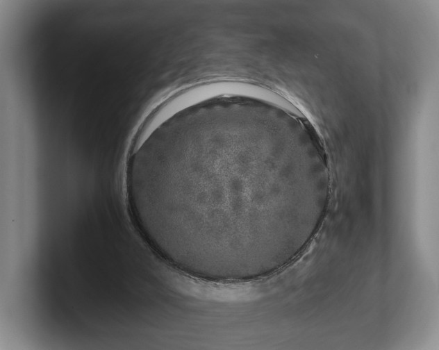 X0000102520008200808151543