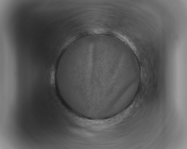 X0000102520010200808151543